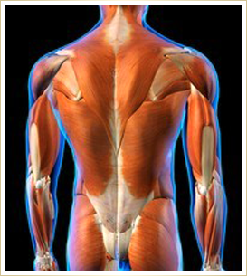 薬やその場限りのマッサージでごまかし放置し続けると危険です!